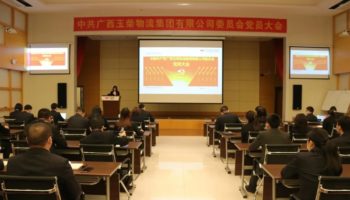 玉柴物流集團(tuán)黨委完成換屆選舉，夯實(shí)黨建基礎(chǔ)